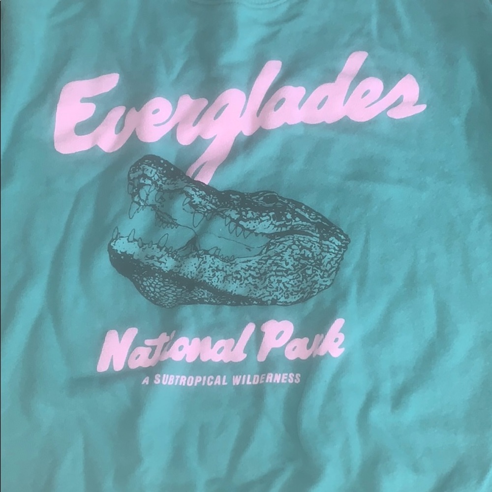 Pacsun (La hearts) pullover